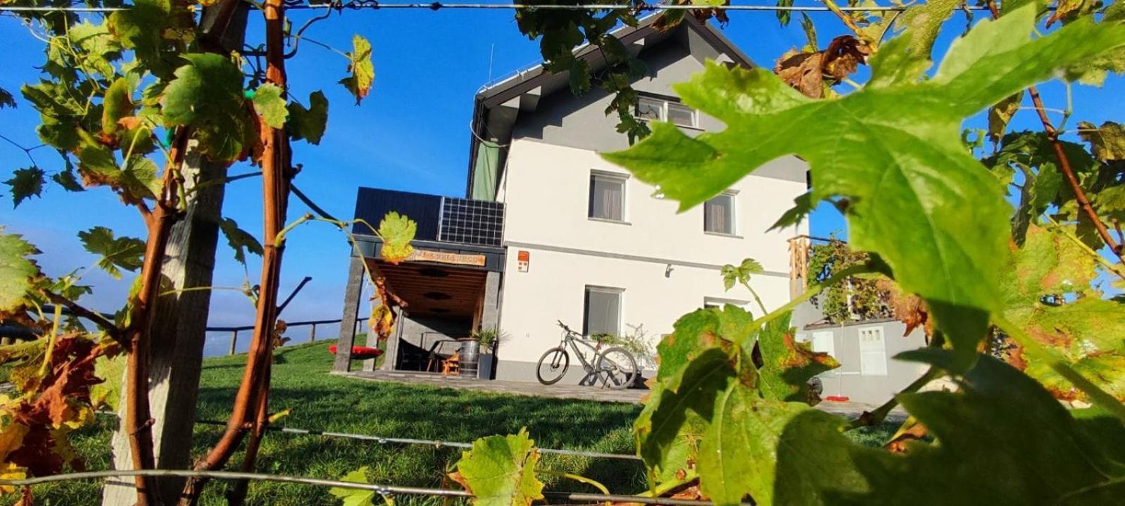 Apartmaji Gracner Dramlje Exterior photo